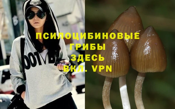герыч Абаза