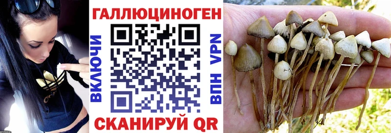 kraken tor  Лабытнанги  Псилоцибиновые грибы Magic Shrooms 